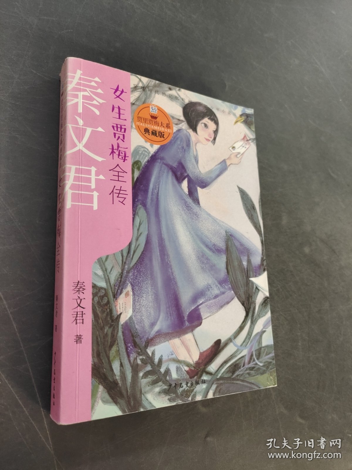 女生贾梅全传