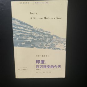 印度：百万叛变的今天：India: A Million Mutinies Now