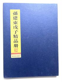 孙建东戊子精品册