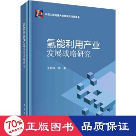 氢能利用产业发展战略研究