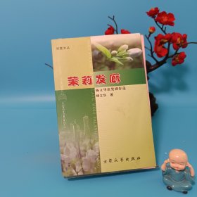 茉莉发廊