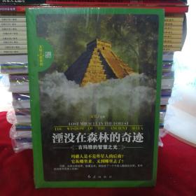 湮没在森林的奇迹：古玛雅的智慧之光