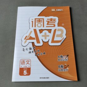 调考A+B.五年级下册语文人教版