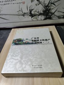 广东省非物质文化遗产名录图典(二)