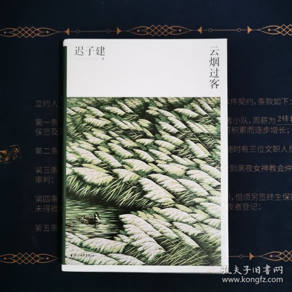 云烟过客（迟子建散文系列）