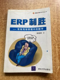 ERP制胜：有效驾驭管理中的数字