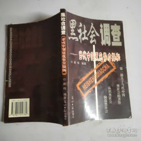 黑社会调查 当代中国黑恶势力揭秘