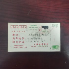 1995年2月贺年（有奖）明信片（温馨·和谐·幸福）——你的进步与火箭同速（实寄）