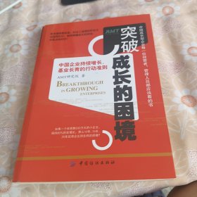 突破成长的困境：再造成长型企业持续增长