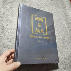 战略·法·战术：制胜重大、疑难、复杂案件【全新未开封】