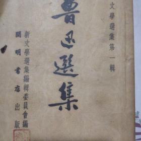 鲁迅选集