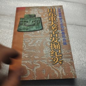 山东重大考古发掘纪实