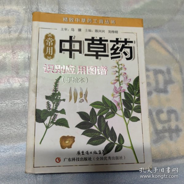 精致中草药工具丛书：常用中草药识别应用图谱（手绘本）