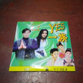 YES一族 2VCD