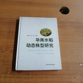 华南水稻动态株型研究