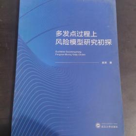 多发点过程上风险模型研究初探