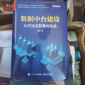 数据中台建设  从方法论到落地实战