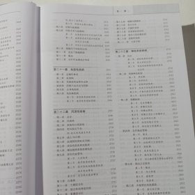 实用内科学 (第13版)，上下册