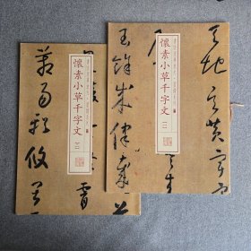 书法经典放大·墨迹系列：怀素小草千字文（一、二）一版一印