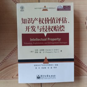 世纪波·知识产权资产评估促进工程系列丛书：知识产权价值评估、开发与侵权赔偿