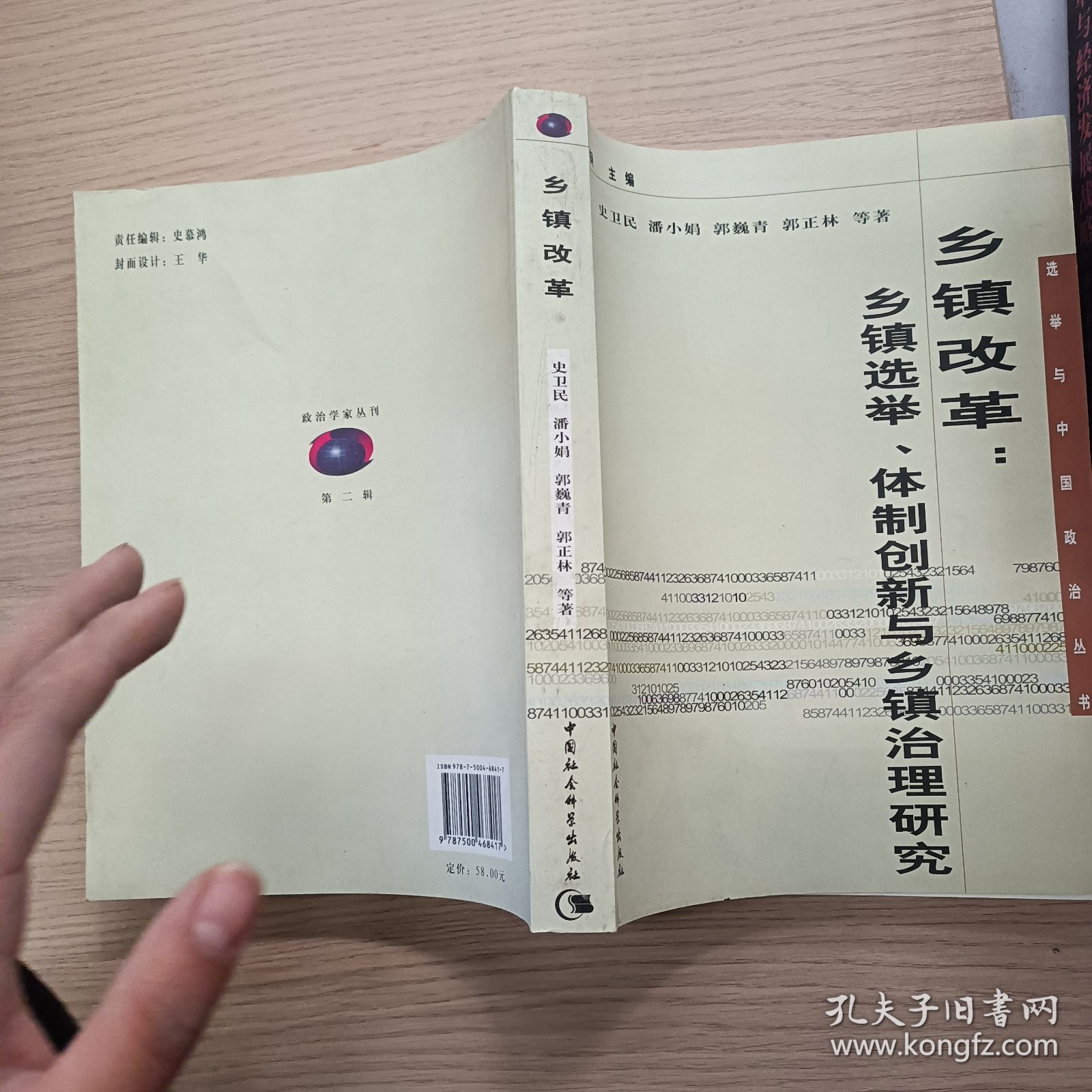 乡镇改革：乡镇选举、体制创新与乡镇治理研究