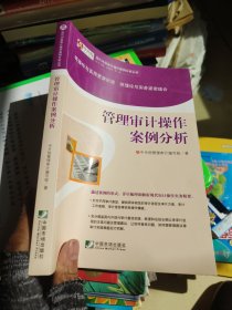 管理审计操作案例分析