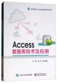 Access数据库技术及应用 童启，陈芳勤主编 9787121353369