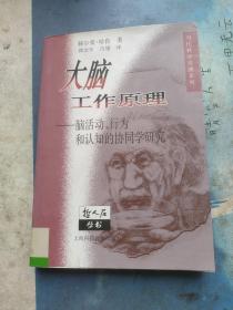 大脑工作原理：脑活动、行为和认知的协同学研究