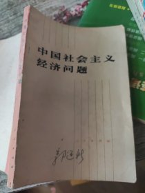 中国社会主义经济问题