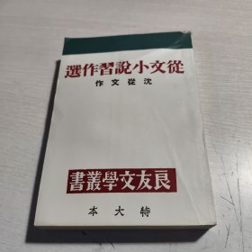 从文小说习作选