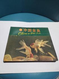 中国金鱼（画册）精装品佳