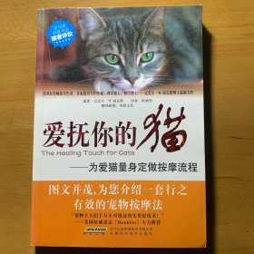 爱抚你的猫：为爱猫量身定做按摩流程