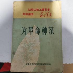 为革命种茶