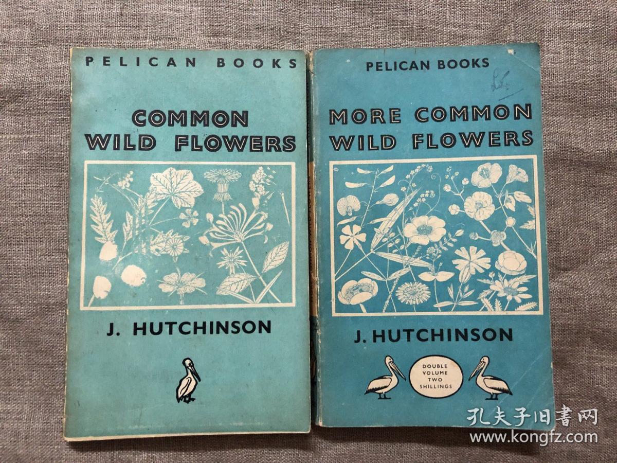 Common Wild Flowers & More Common Wild Flowers (Pelican Books) 常见野花手册 2册合售 老版鹈鹕丛书【合计有四百多幅手绘插图。英文版】留意品相描述