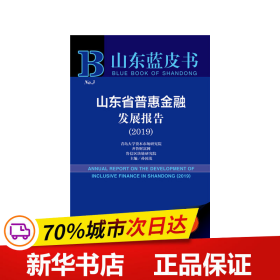 山东蓝皮书：山东省普惠金融发展报告（2019）