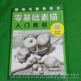 零基础素描入门教程：静物与静物组合