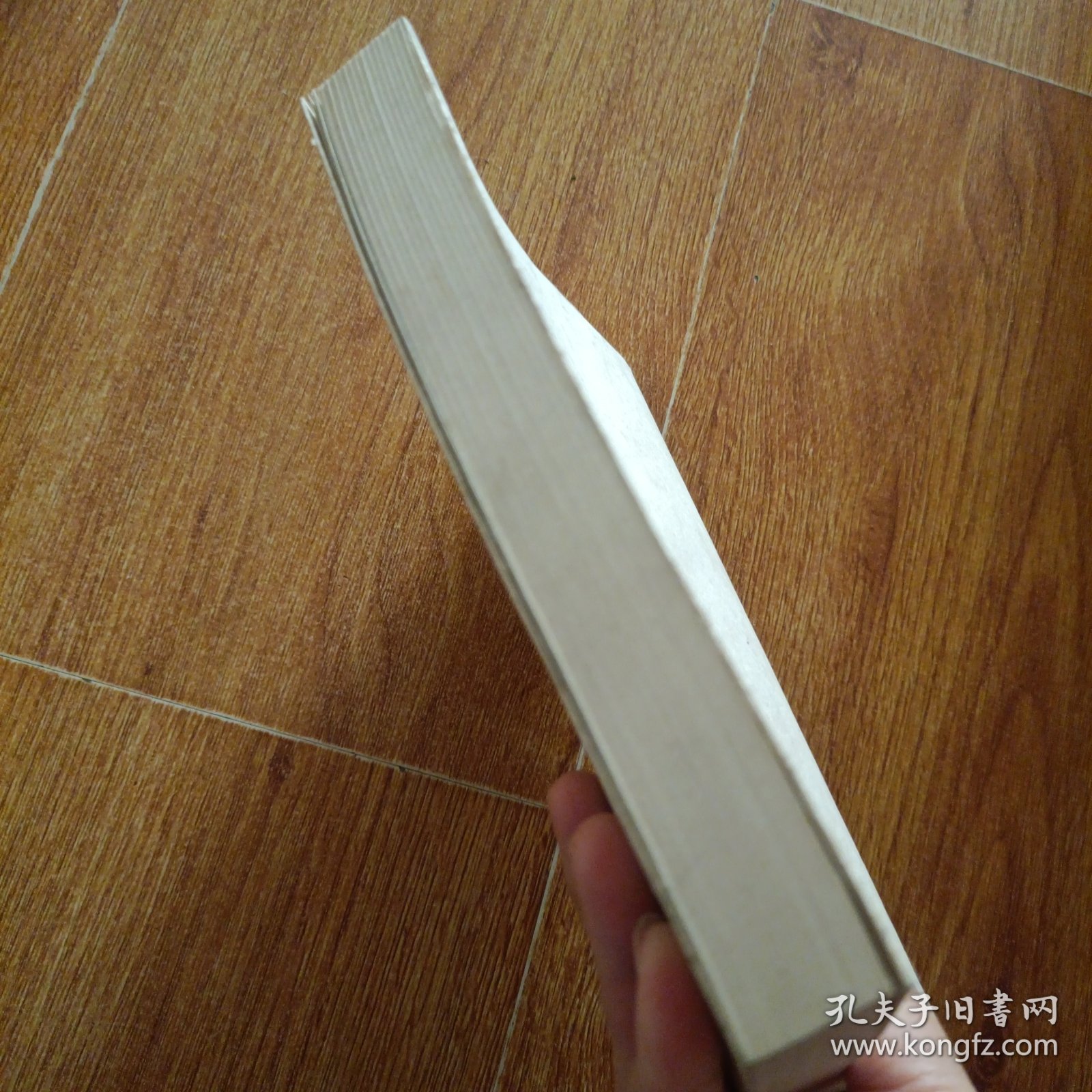 格里格 (世界艺术大师传记丛书)