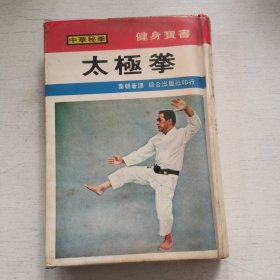 中华秘拳《太极拳》精装本