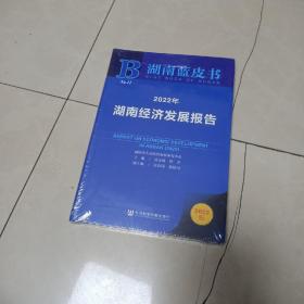 湖南蓝皮书：2022年湖南经济发展报告，没有拆塑封