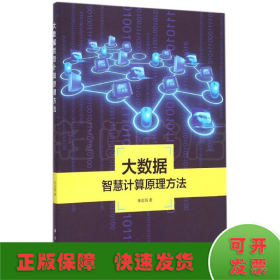 地理信息系统理论与应用丛书：大数据智慧计算原理方法