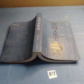 中国文化史 四