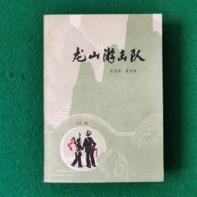 龙山游击队（红色文学）（长篇小说）（小黄斑点比较多）