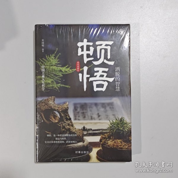 顿悟：洒脱的智慧