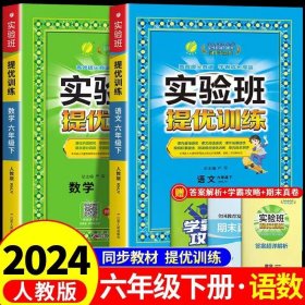 2024实验班提优训练 语文+数学六年级 下