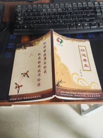痧道养生