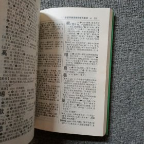 古汉语常用字字典 第二版