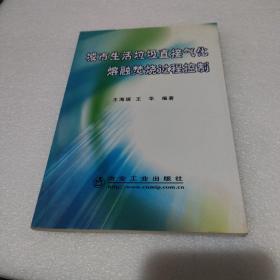 城市生活垃圾直接气化熔融焚烧过程控制【有勾画，品如图】