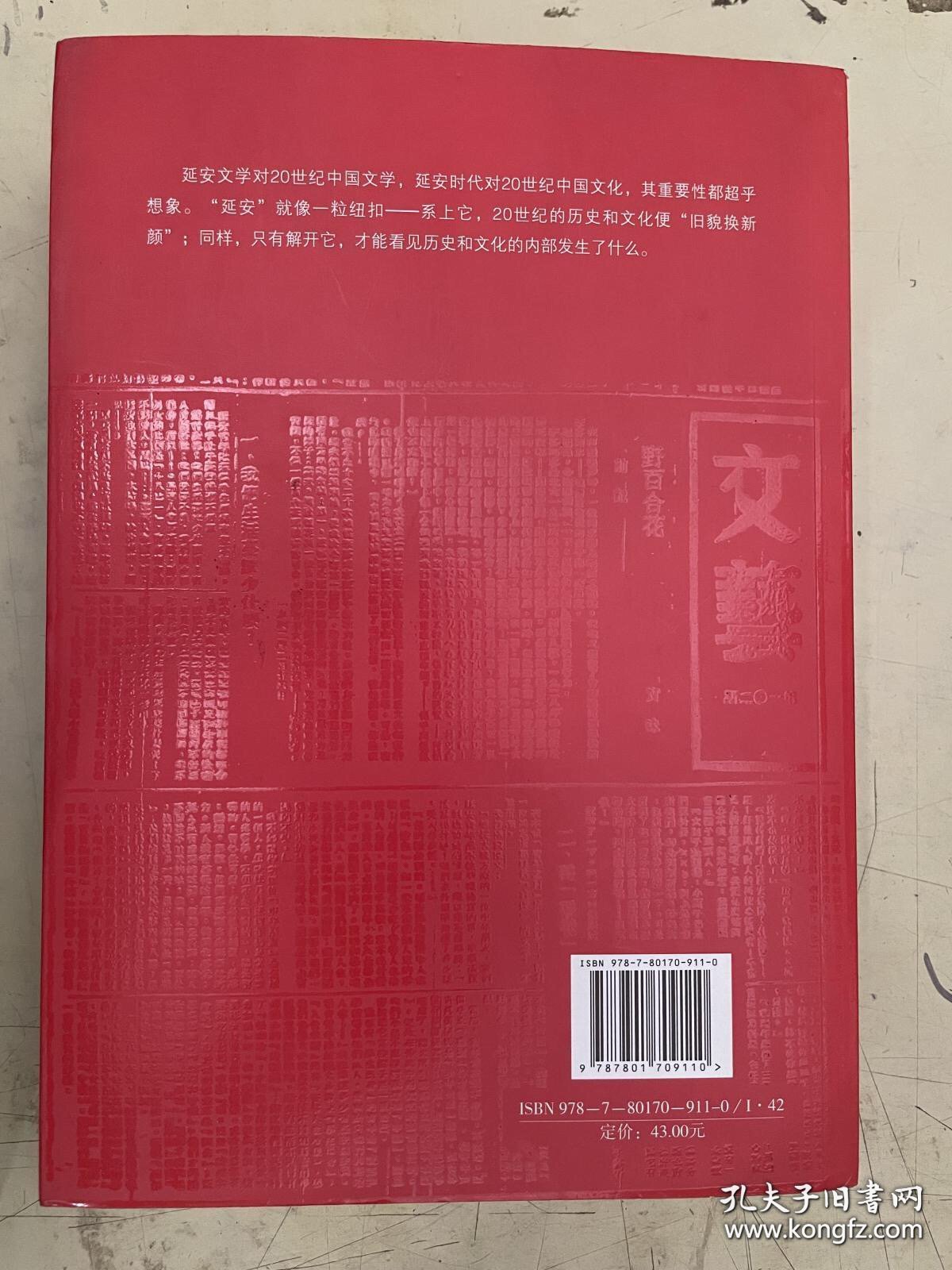 解读延安：文学、知识分子和文化