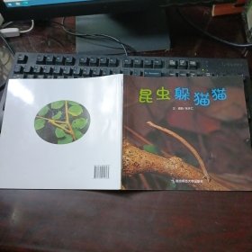 幼儿园早期阅读资源《幸福的种子》（中班·上）昆虫躲猫猫