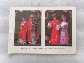 年画缩样（花木兰 郑芳 柴郡主 杨延昭）